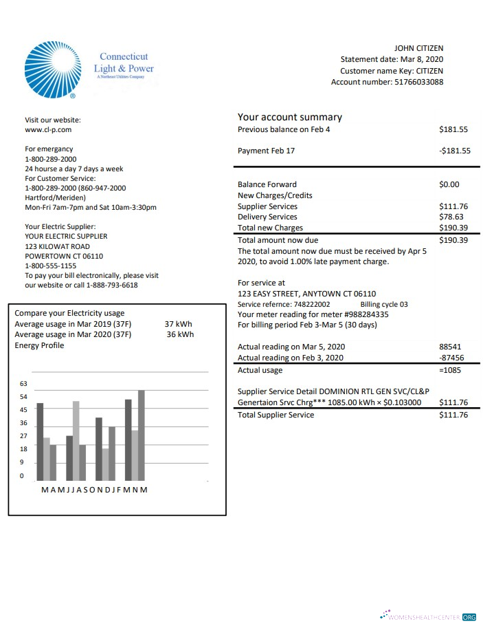 download USA Connecticut Light & Power electricity utility bill in Word and PDF format PDF template